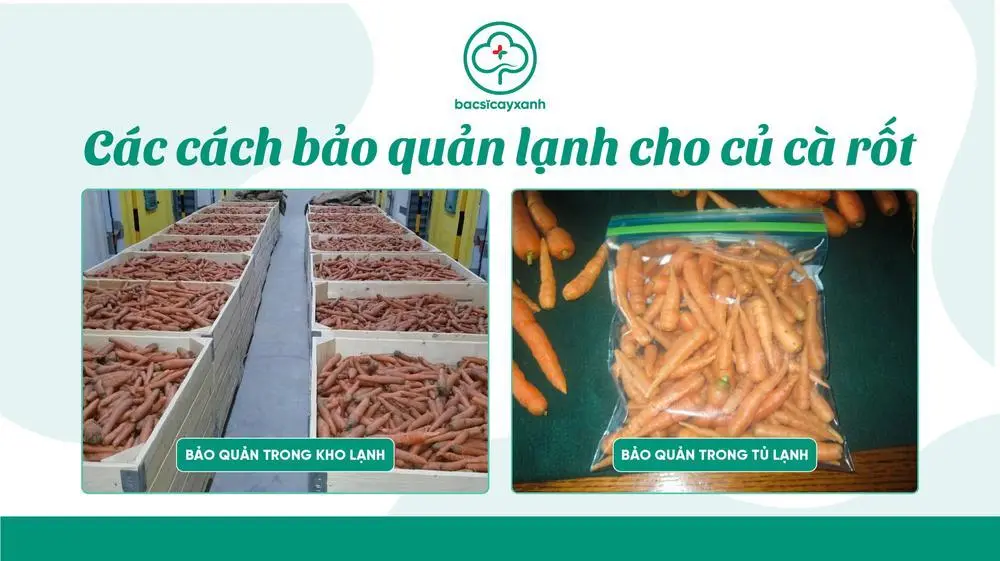 Bảo quản cà rốt trong tủ lạnh