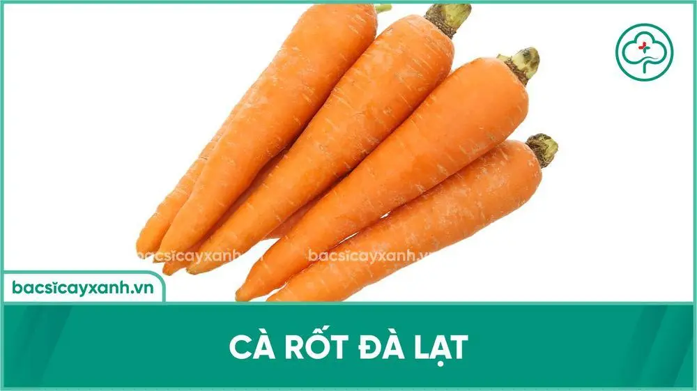 Kỹ thuật chọn giống cà rốt chất lượng năng suất cao
