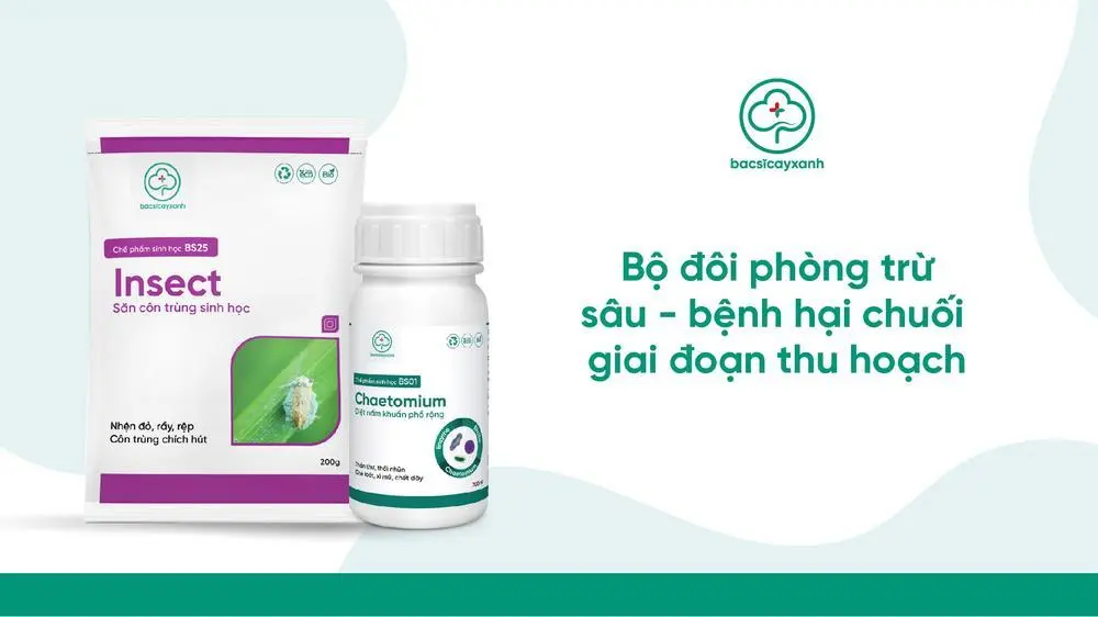 Bộ sản phẩm sinh học xử lý sâu bệnh cây chuối