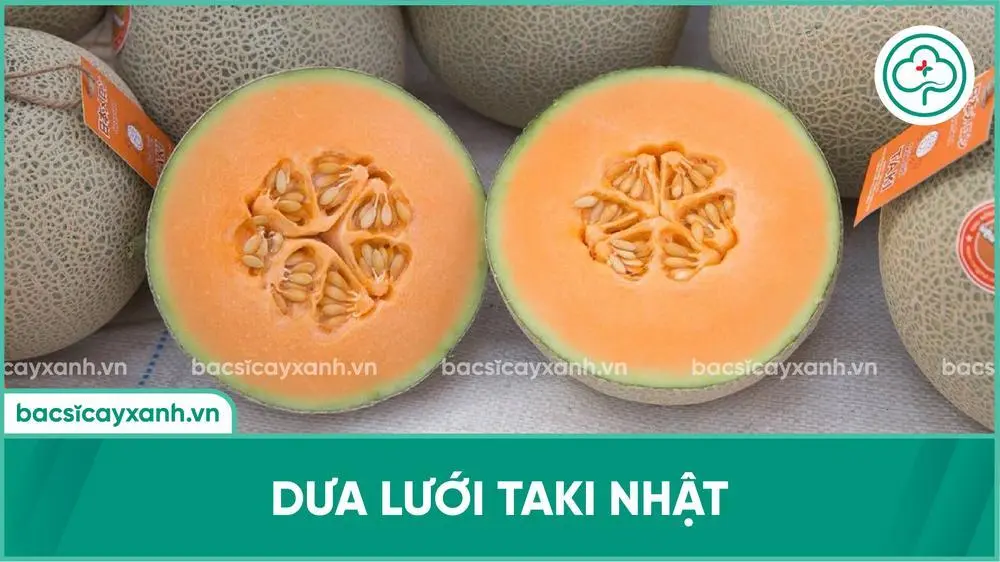 Dưa lưới Taki Nhật