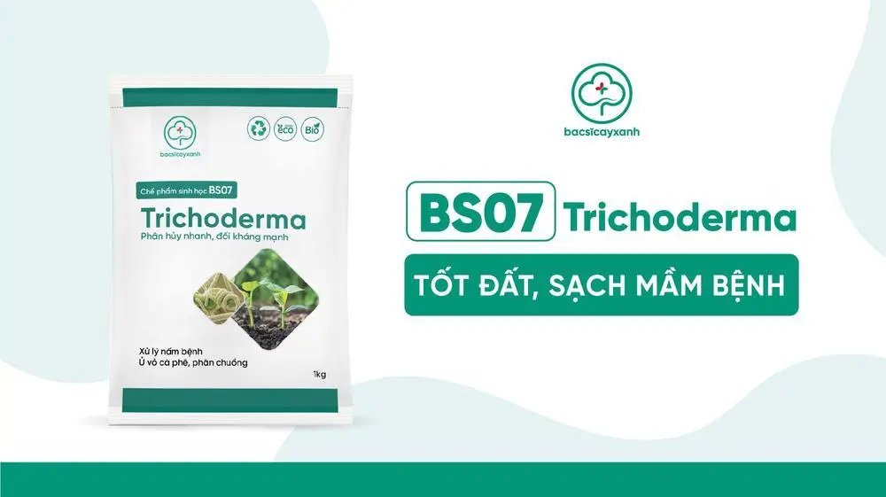 Sản phẩm xử lý nấm đất