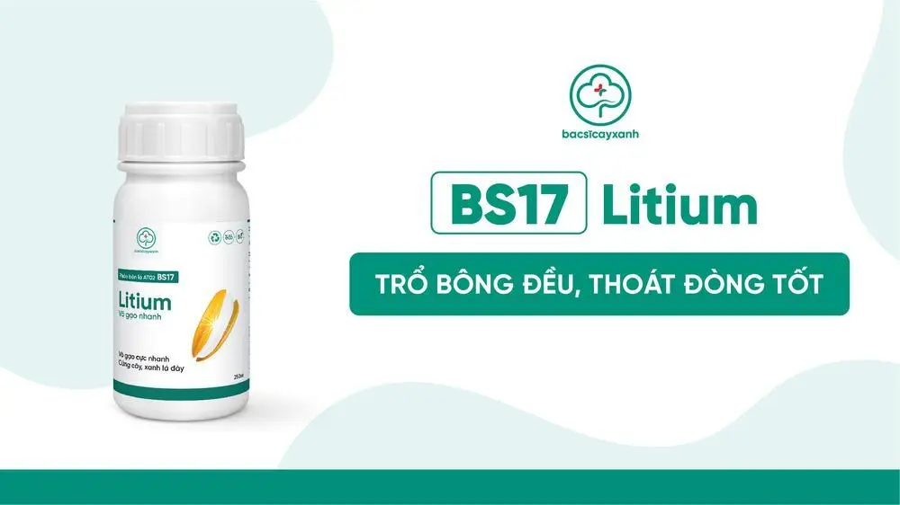 Dinh dưỡng bón lá kích thích lúa trổ bông