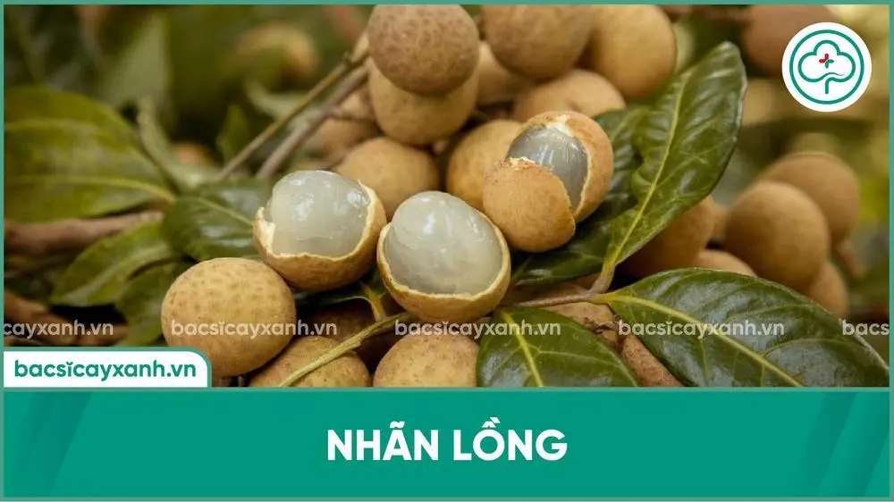 Nhãn lồng