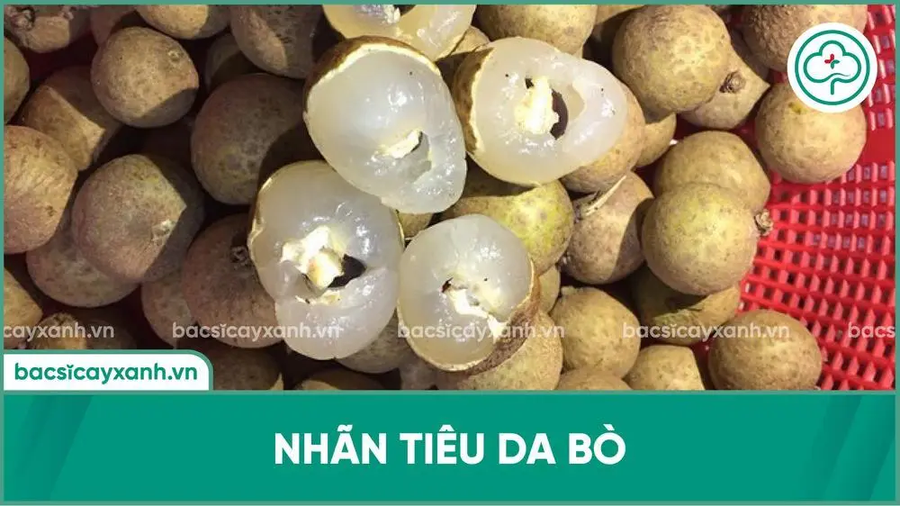 Nhãn tiêu da bò