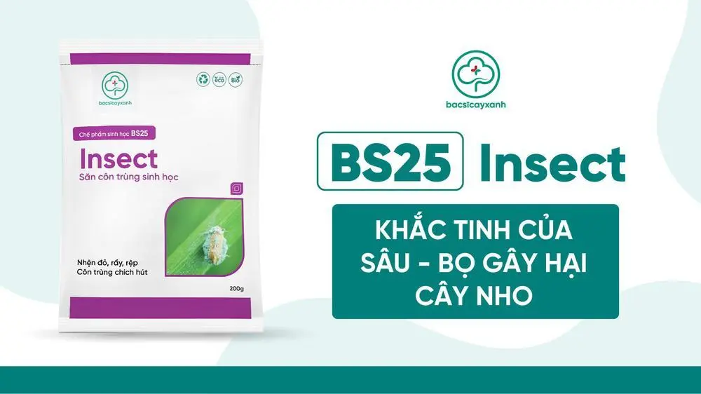Sản phẩm trừ sâu bệnh cây nho sinh học