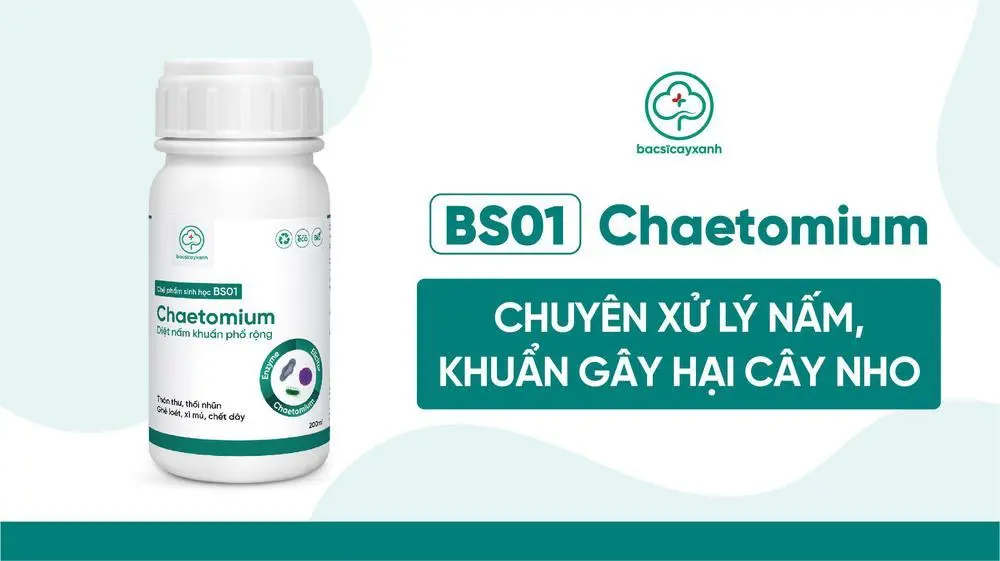 Sản phẩm trừ bệnh cây nho