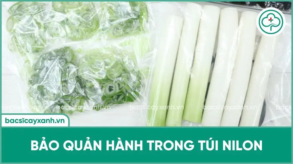 Bảo quản hành lá trong bao nilong