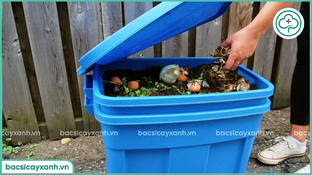 Sử dụng trichoderma ủ phân hữu cơ