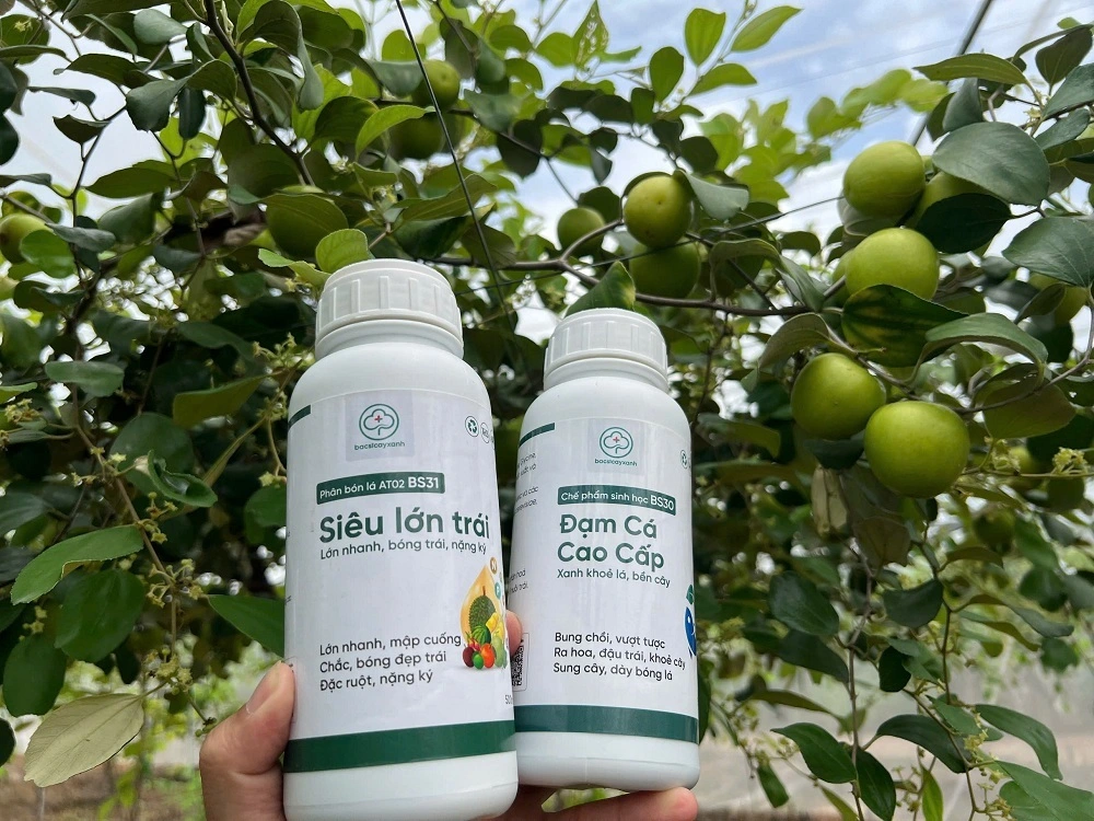 phản hồi nông dân sử dụng bs31