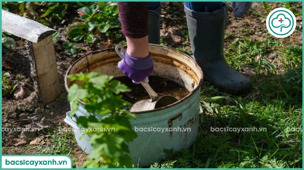 Ủ đạm cá hữu cơ