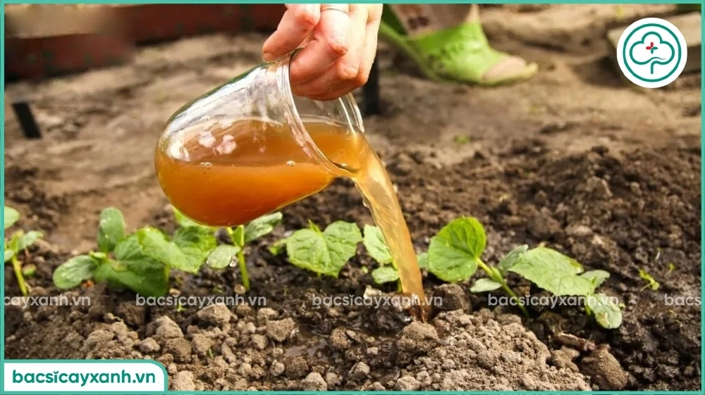 Nhận biết đạm cá hữu cơ đạt chuẩn