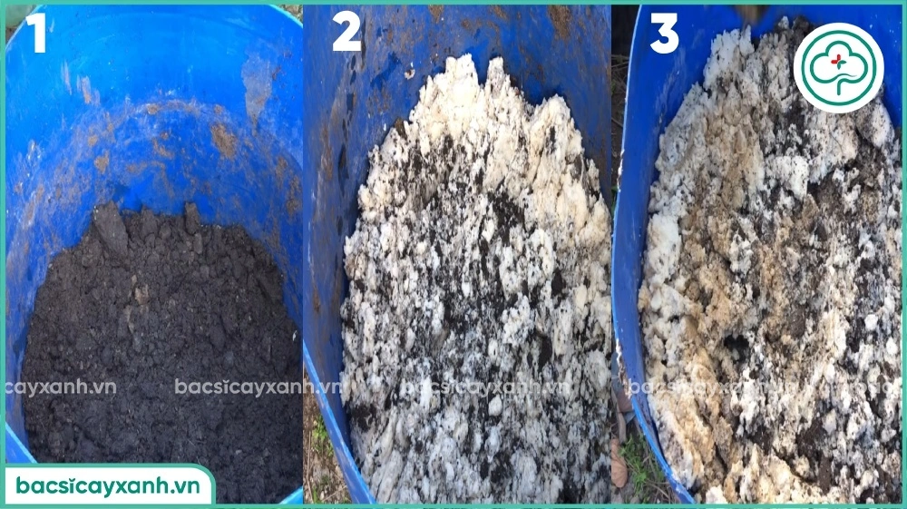 Ủ bã đậu nành với đất