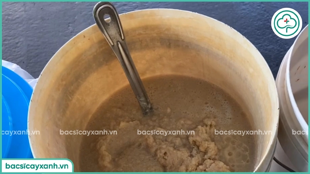 Ủ bã đậu nành với mật rỉ đường