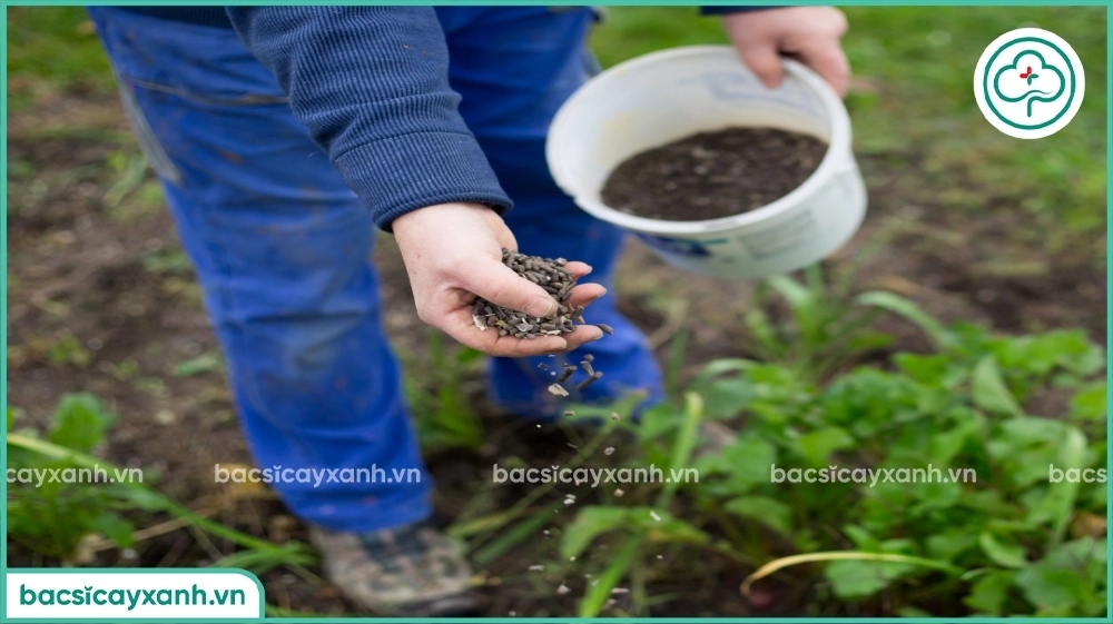 Sử dụng hiệu quả tiết kiệm NPK