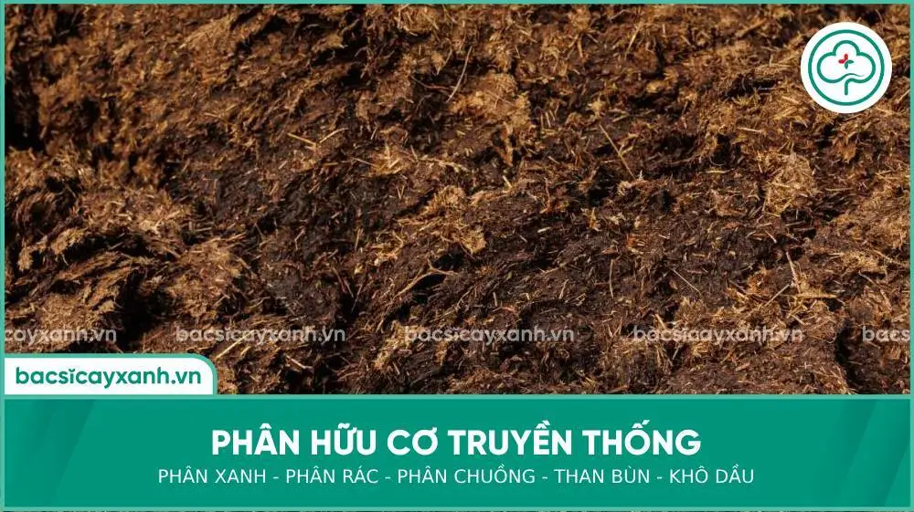 Phân hữu cơ truyền thống