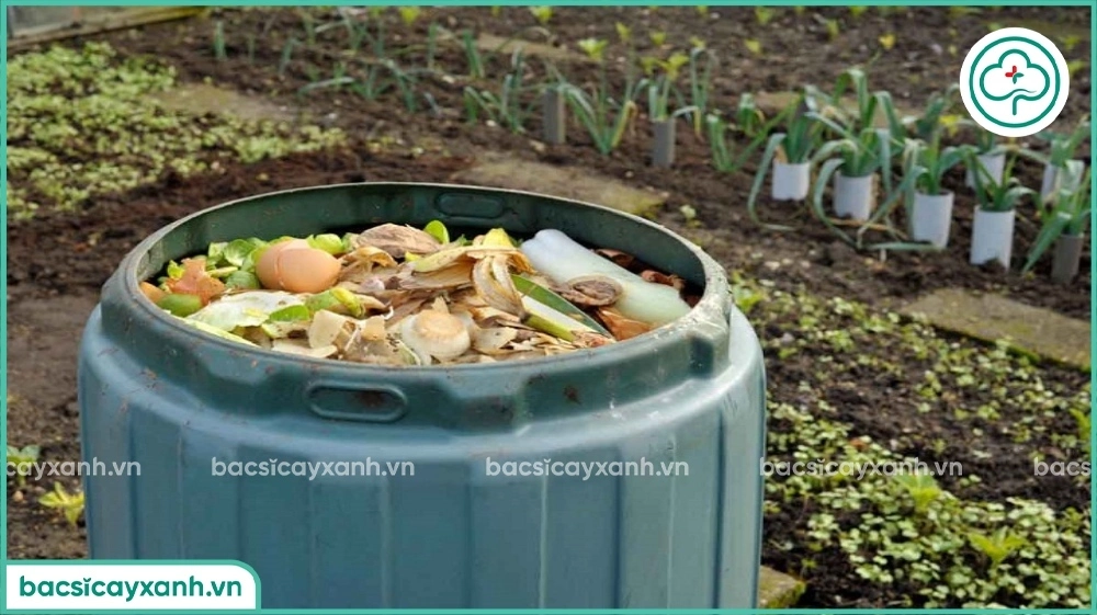 Cách ủ phân hữu cơ từ rác nhà bếp đơn giản không mùi