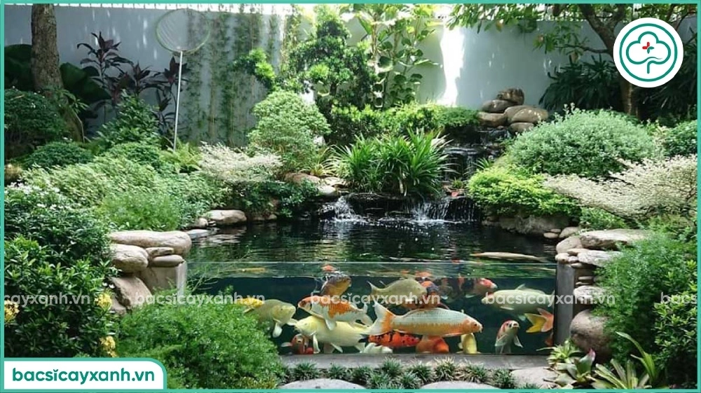 Xử lý nước hồ cá bị rêu xanh