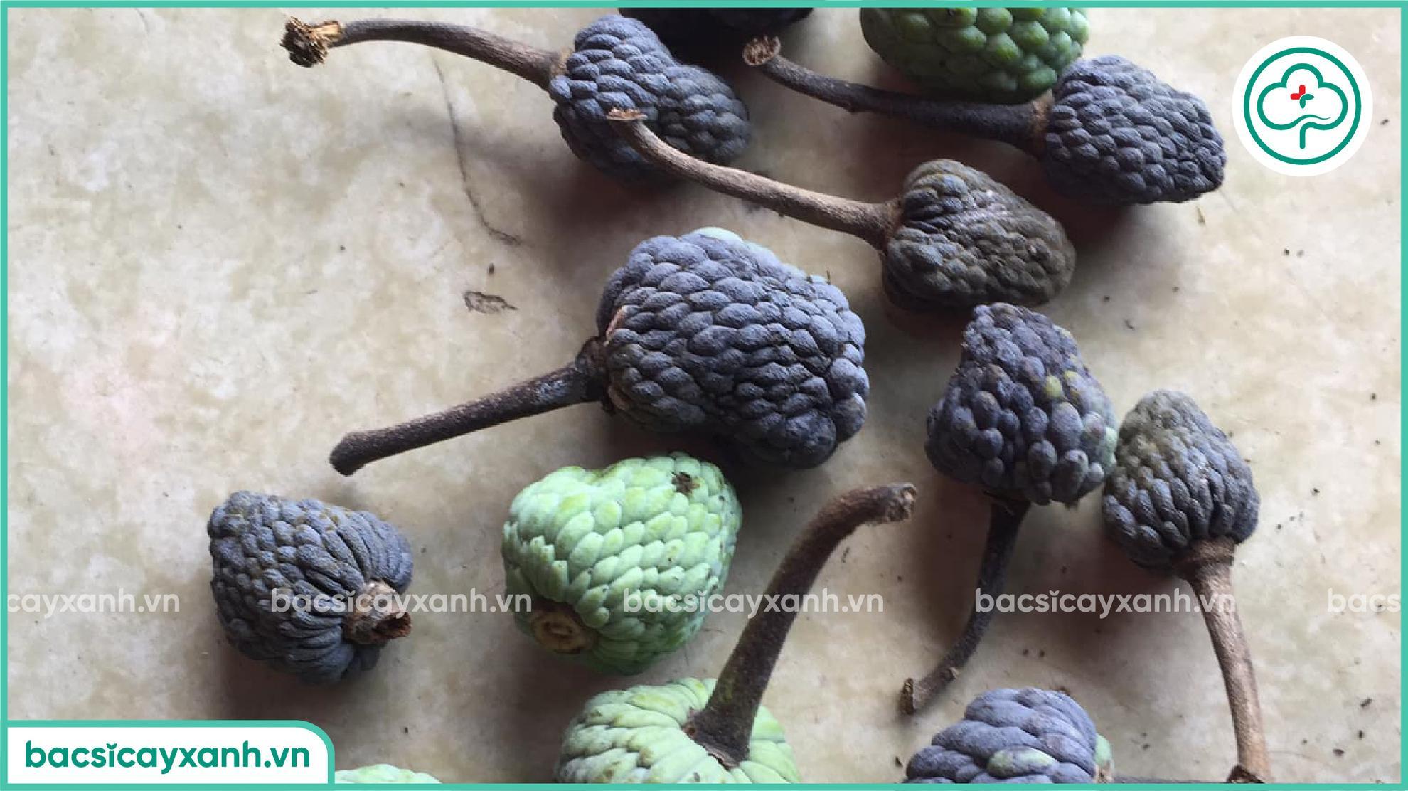 Bệnh thán thư làm giảm chất lượng quả