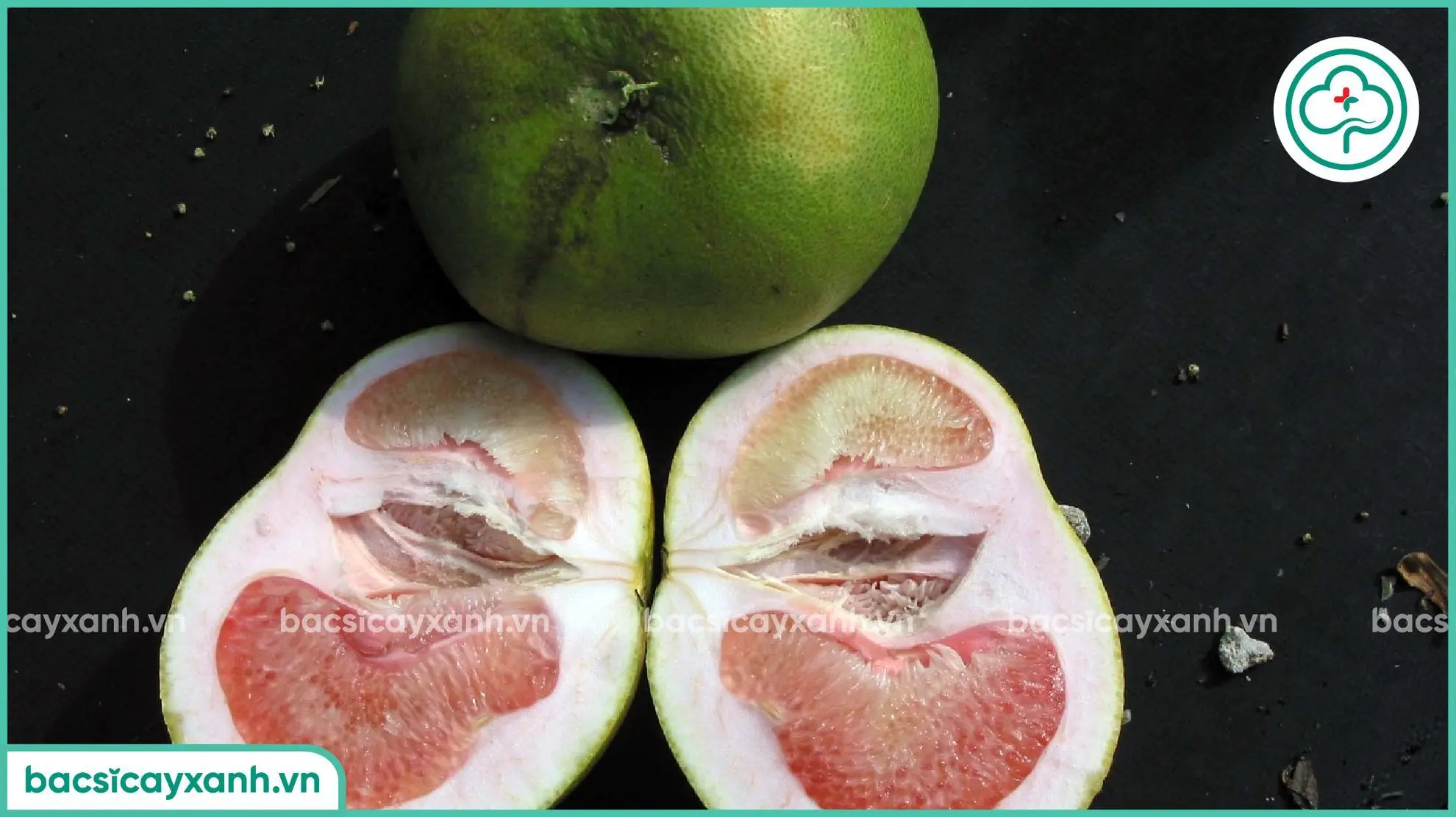 Trái bưởi trên cây bị vàng lá gân xanh