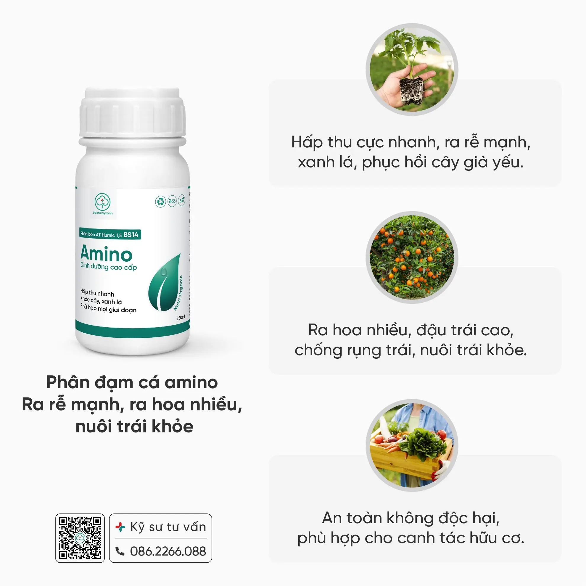 AMINO
