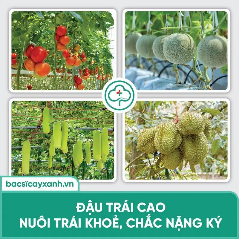 Sản phẩm 3044