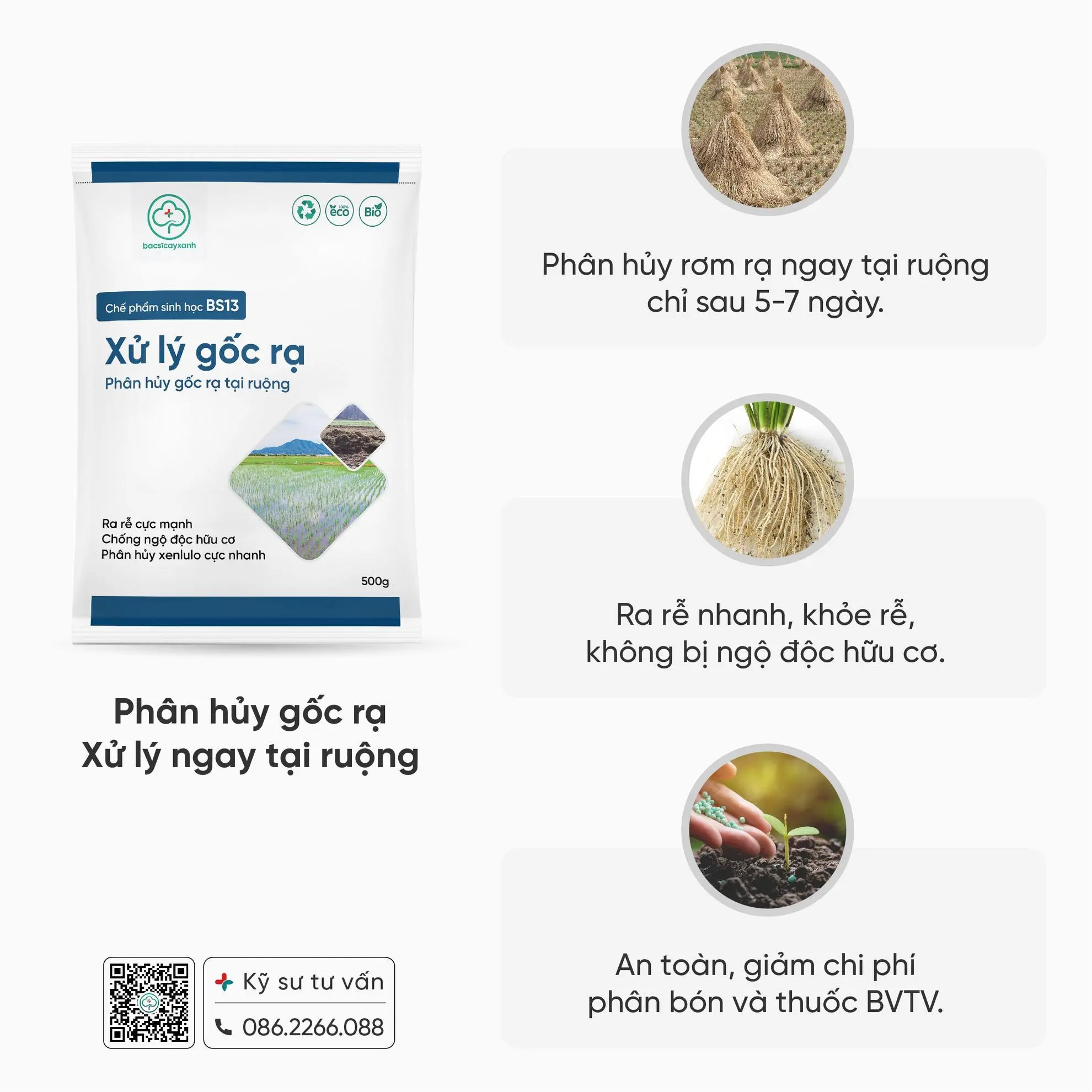 XỬ LÝ GỐC RẠ