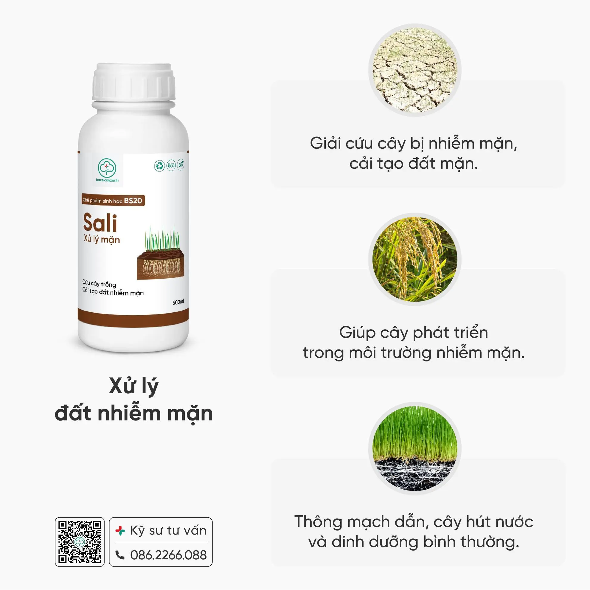 Xử lý đất nhiễm mặn