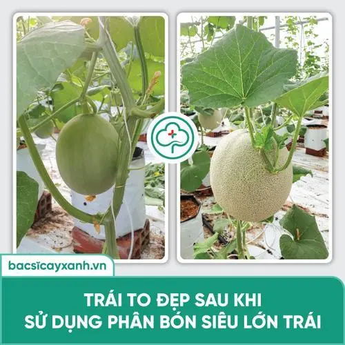 Sản phẩm 8573