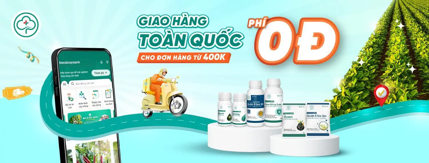 Khuyến mãi tháng 6