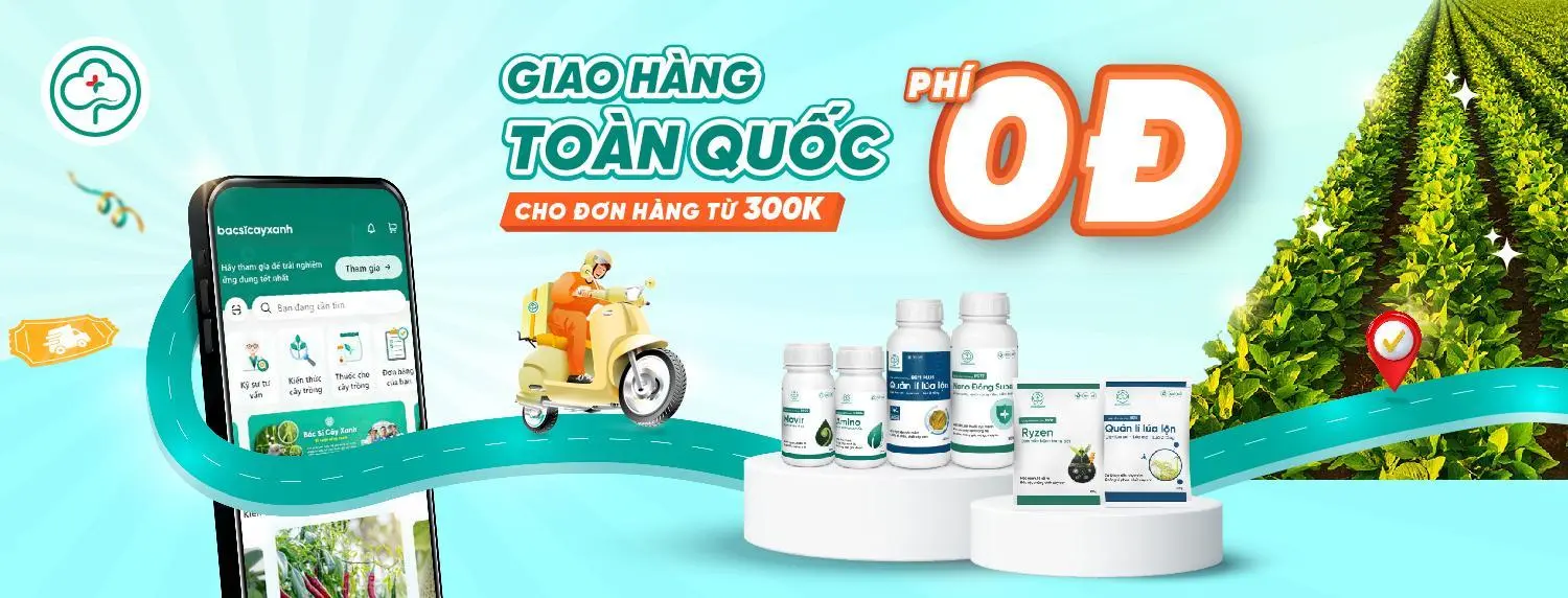 Khuyến mãi tháng 6