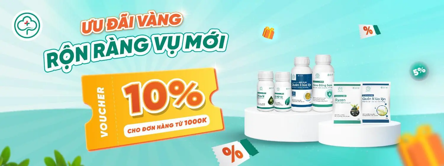 Khuyến mãi tháng 6.2