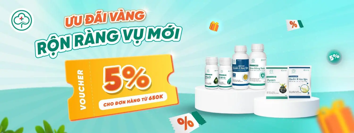 Khuyến mãi tháng 6.1