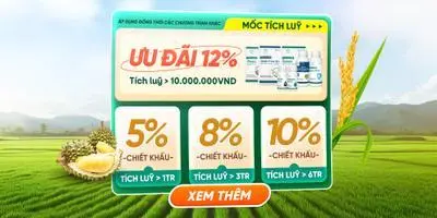 Khuyến mãi 1
